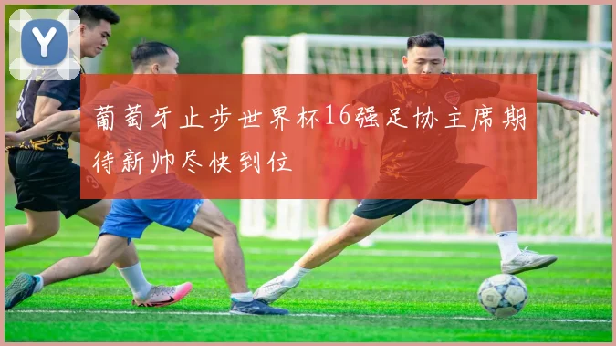葡萄牙止步世界杯16强足协主席期待新帅尽快到位