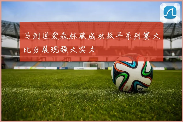 马刺逆袭森林狼成功扳平系列赛大比分展现强大实力