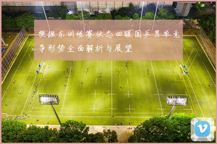 樊振东训练赛状态回暖国乒男单竞争形势全面解析与展望